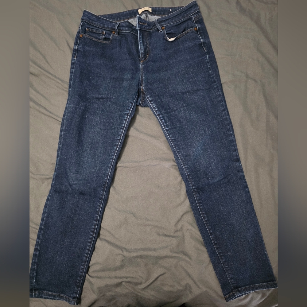 Loft Classic Indigo Curvy Skinny Jeans